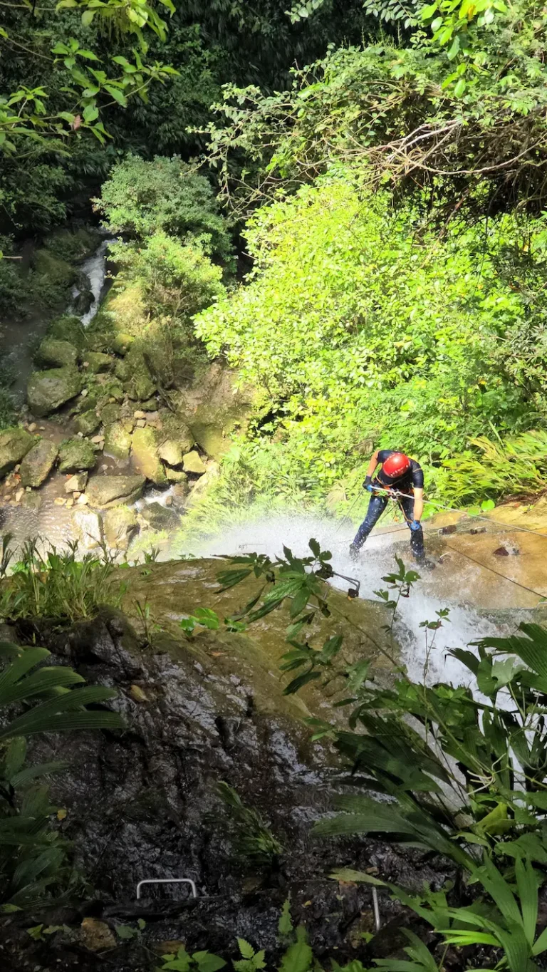Imagen Adrenalina
